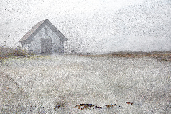 Long Point Winter Afternoon