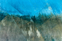 Soft Forest Landscape