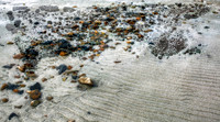 A Low Tide Reveal