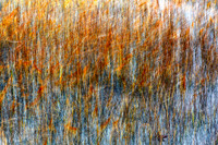 Marsh Grass Mash Up