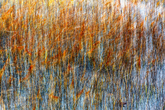 Marsh Grass Mash Up