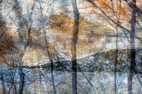 Autumn Woodlands