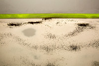 Dune Grass at Low Tide II