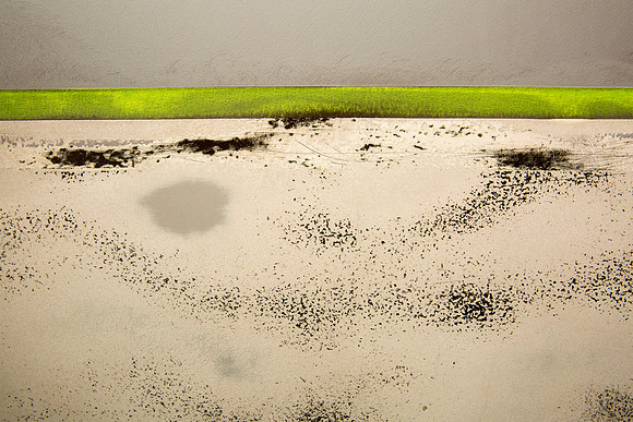 Dune Grass at Low Tide II